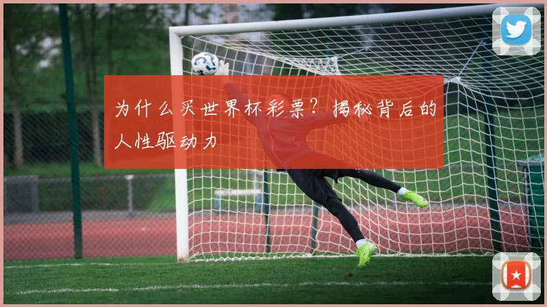 为什么买世界杯彩票？揭秘背后的人性驱动力